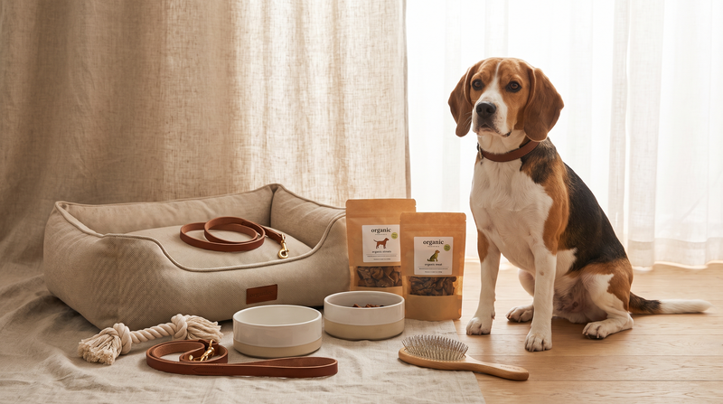 SALE collection banner featuring a Beagle beside pet products