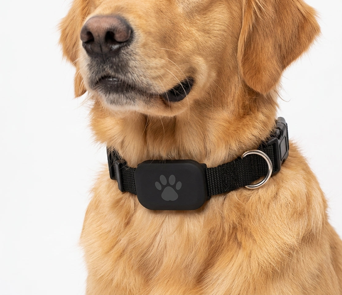 Wasserdichter Mini-GPS-Tracker für Haustiere, globale Abdeckung, Echtzeit-Bewegungsmeldungen, Katzen, Hunde