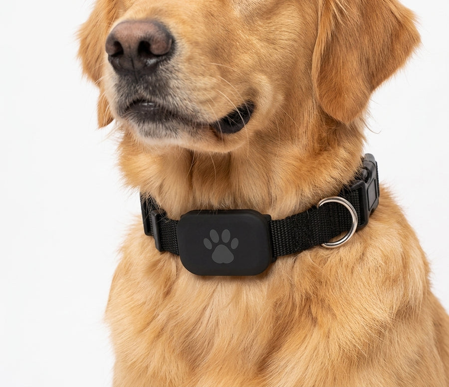 Wasserdichter Mini-GPS-Tracker für Haustiere, globale Abdeckung, Echtzeit-Bewegungsmeldungen, Katzen, Hunde