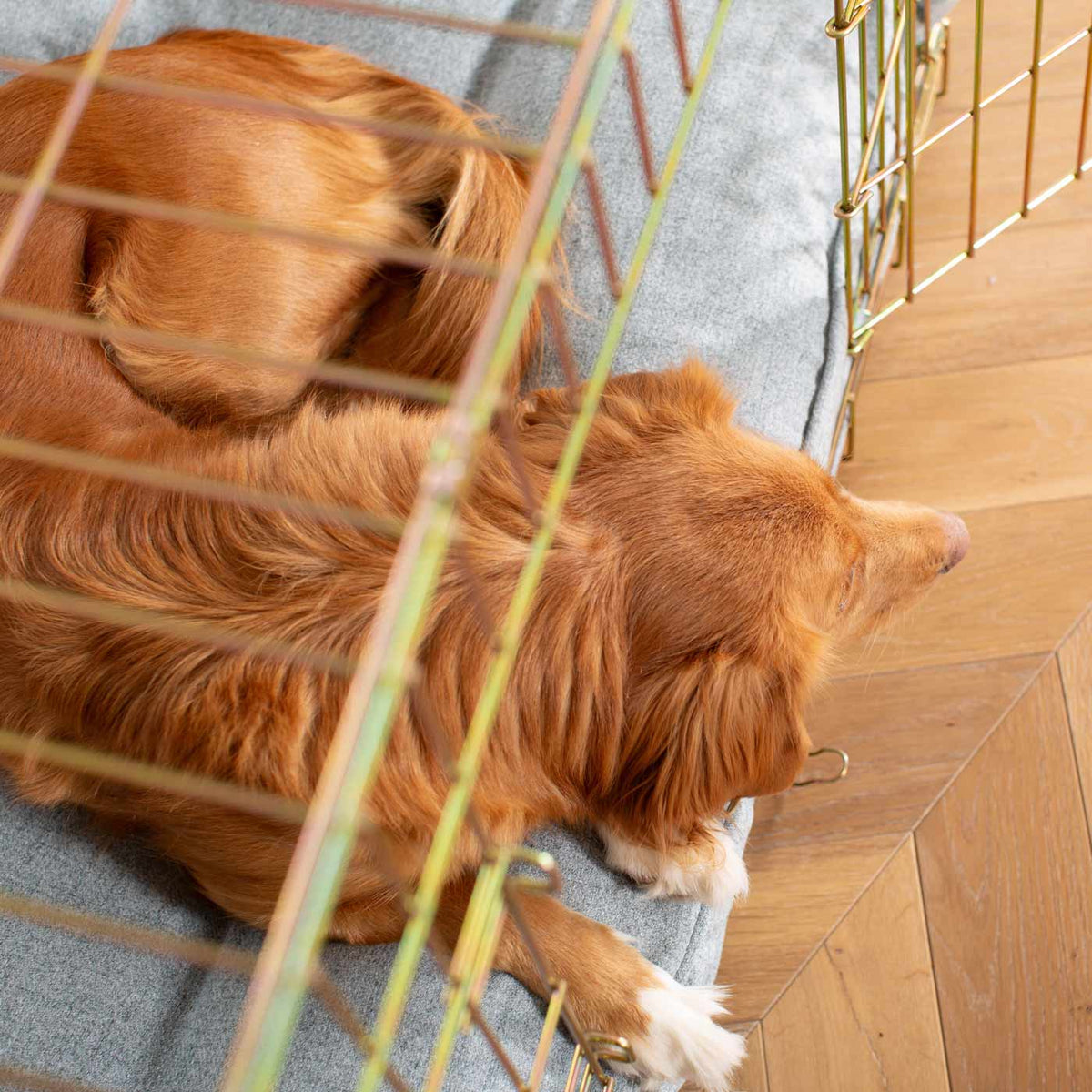 Strapazierfähiges Hundekissen Inchmurrin Iceberg Abwaschbares Kunstleder Maschinenwaschbar