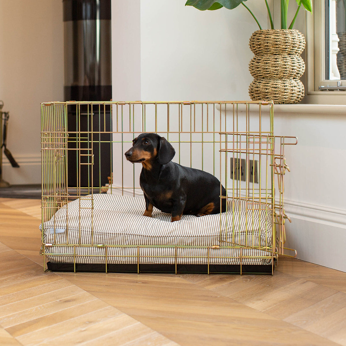 Coussin moelleux pour chien rayé Regency, lavable en machine, housse amovible