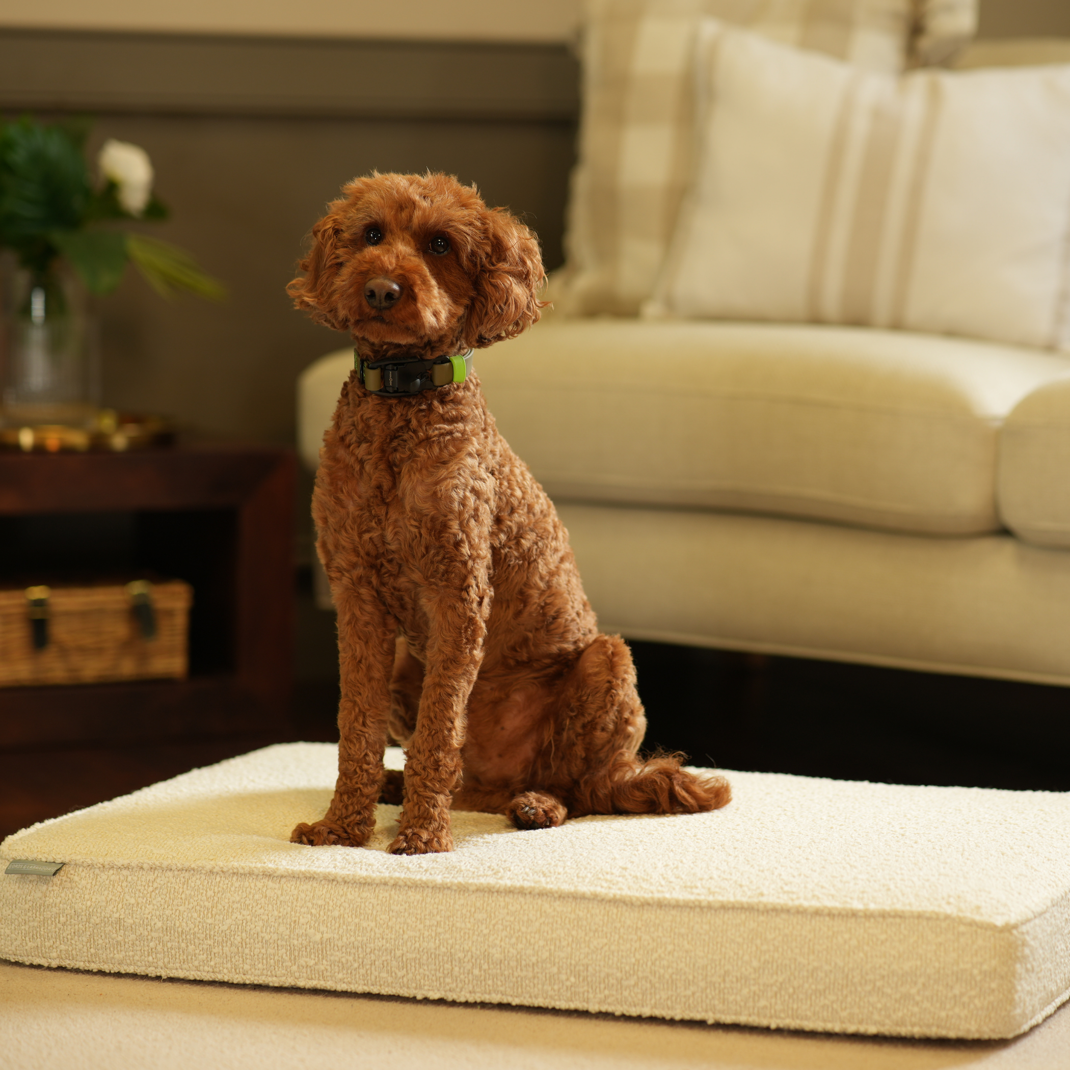 Coussin pour chien fait main en bouclé ivoire, lavable en machine, doublure résistante à l'eau
