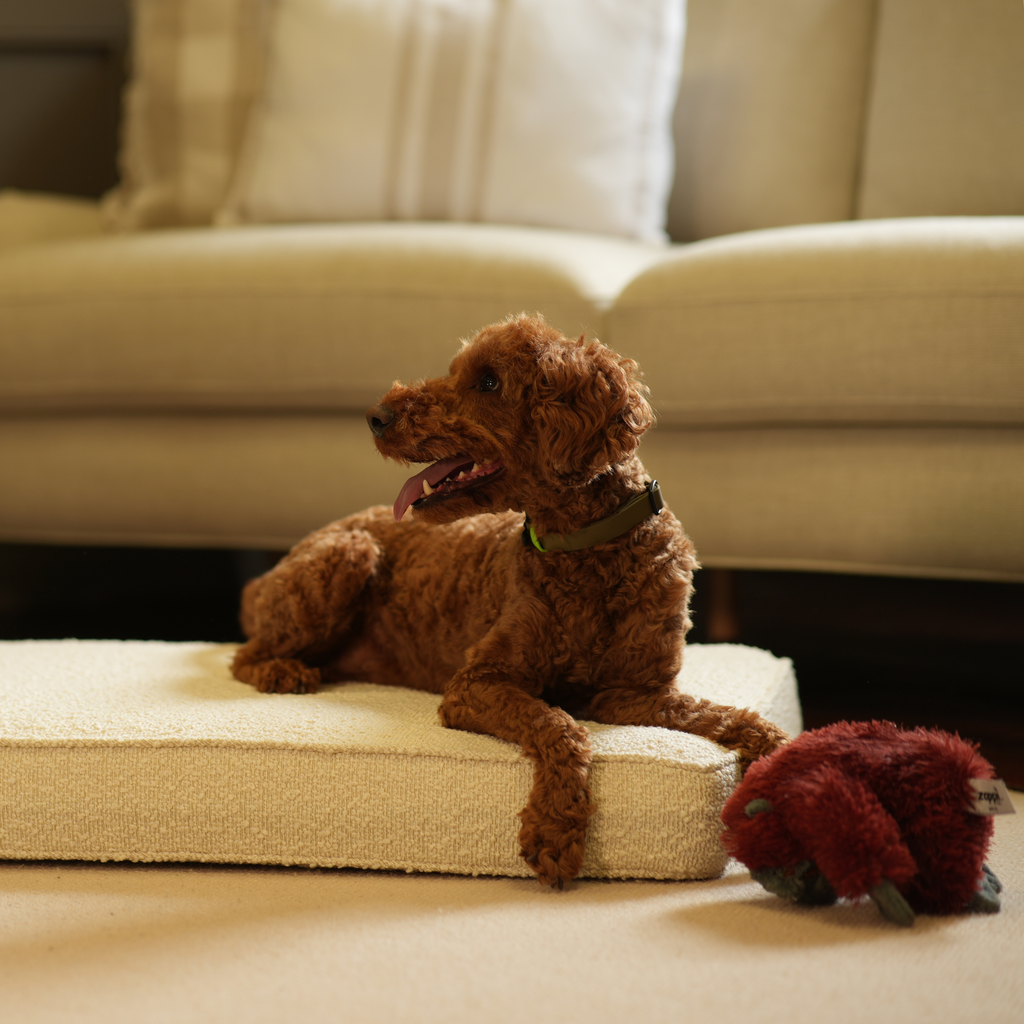 Coussin pour chien fait main en bouclé ivoire, lavable en machine, doublure résistante à l'eau