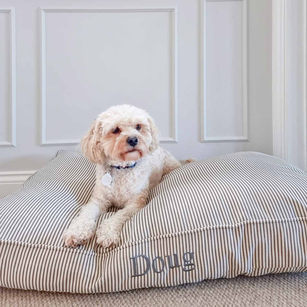 Coussin moelleux pour chien rayé Regency, lavable en machine, housse amovible