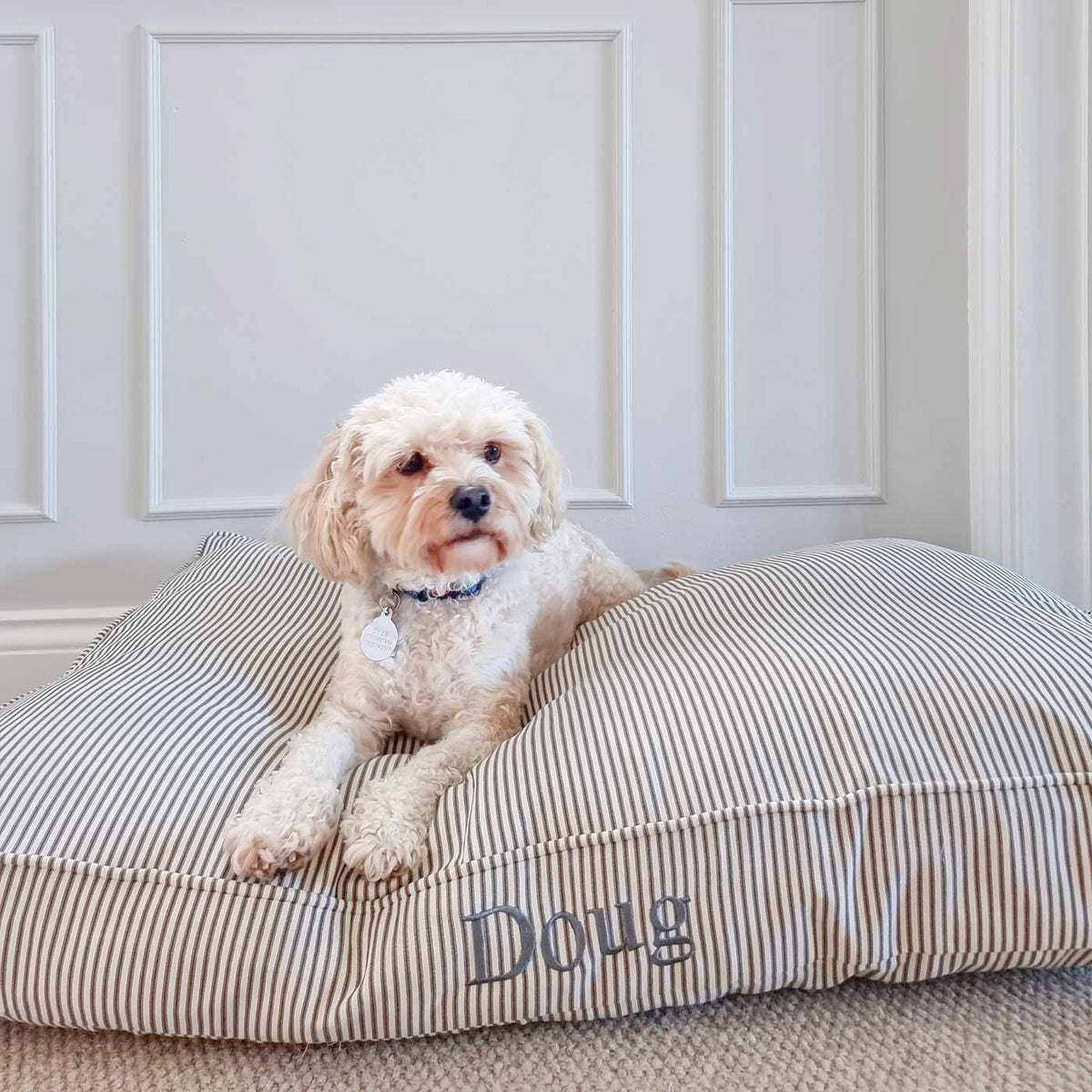 Coussin moelleux pour chien rayé Regency, lavable en machine, housse amovible