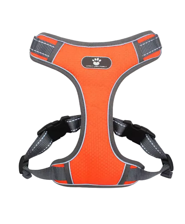 Vest Style Harness and Leash Set for Small Dogs and Cats Breathable Reflective
