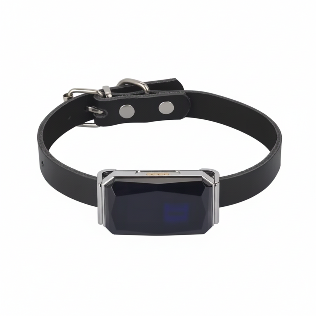 Wasserdichtes GPS-Haustierhalsband Echtzeit-Tracking-App Smart Locator Katzen Hunde