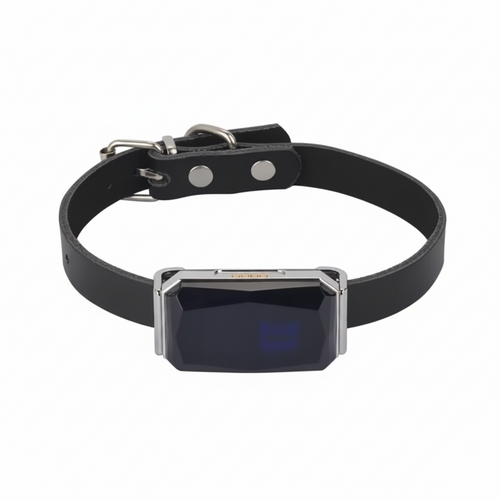 Wasserdichtes GPS-Haustierhalsband Echtzeit-Tracking-App Smart Locator Katzen Hunde
