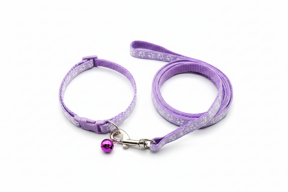 Ensemble collier et laisse réglables Motif pattes Chiens Chats Toutes tailles
