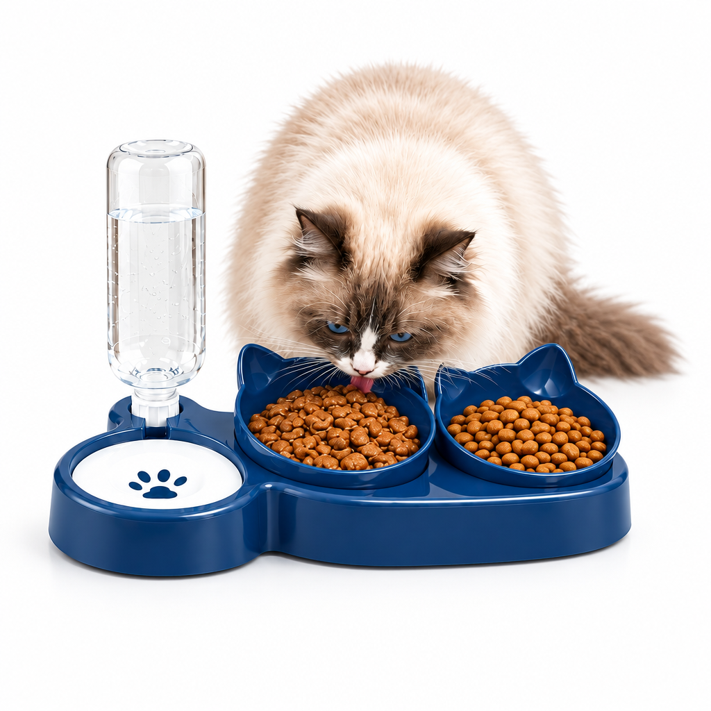 3-in-1 geneigtes Katzenfutter-Set mit Schwerkraft-Wasserflasche und automatischem Futterspender