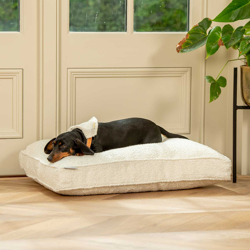 Coussin pour chien fait main en bouclé ivoire, lavable en machine, doublure résistante à l'eau