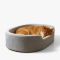 Orthopedic Couch Style Dog Bed with dog
