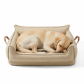 Water Repellent Sofa Dog Bed with dog
