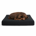 Waterproof Orthopedic Large Dog Bed with dog