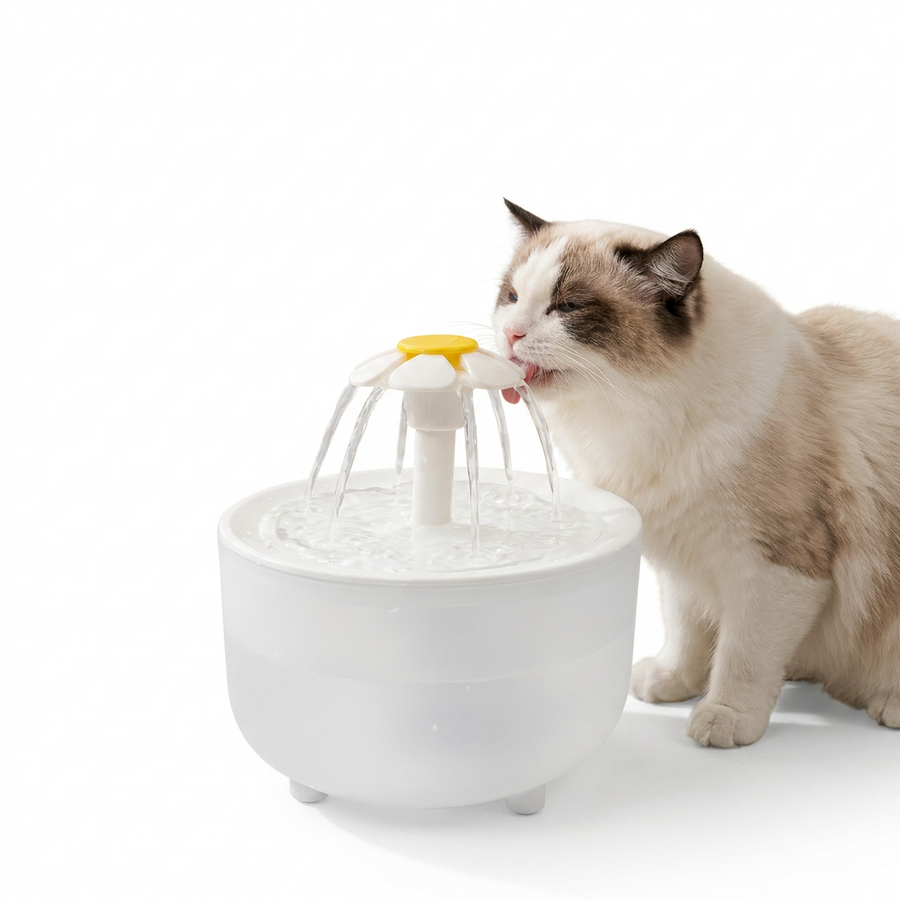Recirculating Cat Water Fountain with cat