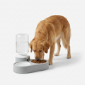 Gravity Fed Food and Water Station with dog