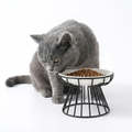 Raised Ceramic Cat Feeding Bowl with cat
