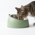 Tilted Stainless Steel Cat Bowl with cat