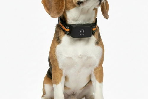 Waterproof Mini GPS Pet Collar worn by dog