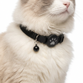 GPS Cat Collar worn by cat
