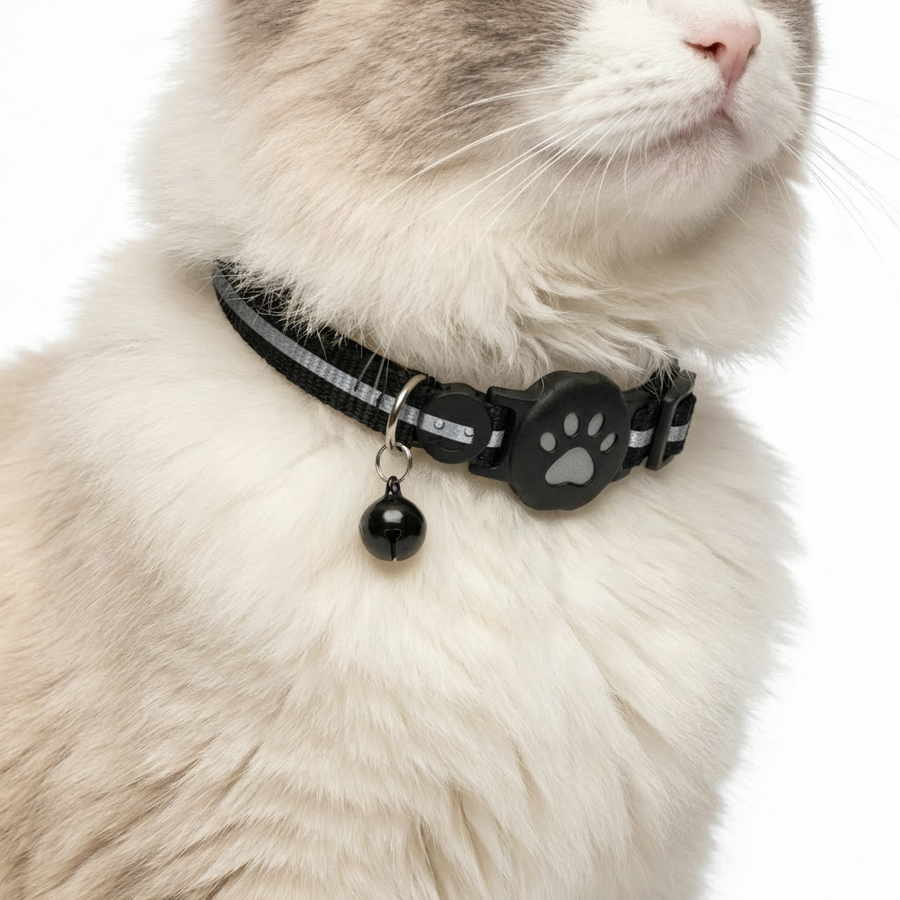 GPS Cat Collar worn by cat