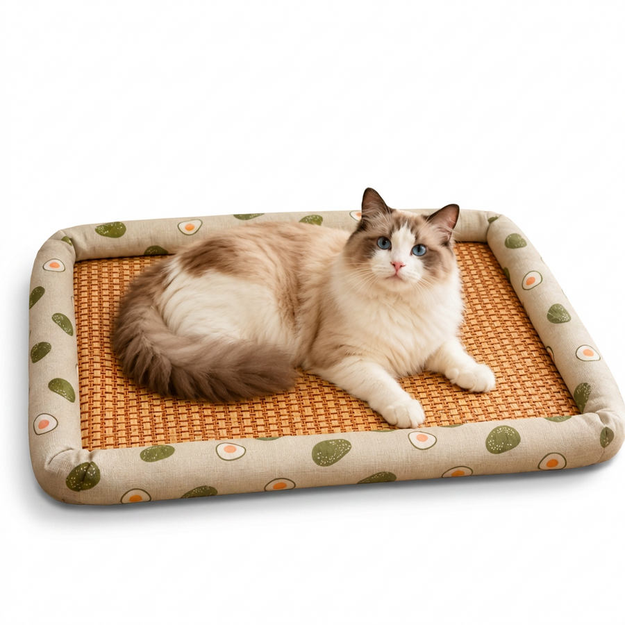 Woven Rattan Cooling Pet Bed with cat