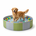 Foldable Dog Paddling Pool with dog playing