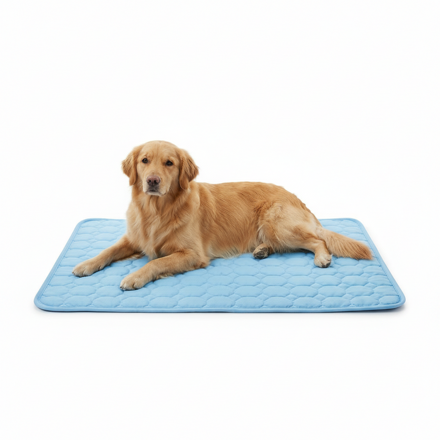 Honeycomb Breathable Cooling Mat with dog