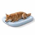 Contoured Cooling Mat with dog