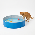 Foldable Cat Paddling Pool with cat