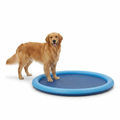 Round Outdoor Dog Splash Pad with dog