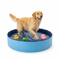 Interactive Foldable Pet Paddling Pool with dog