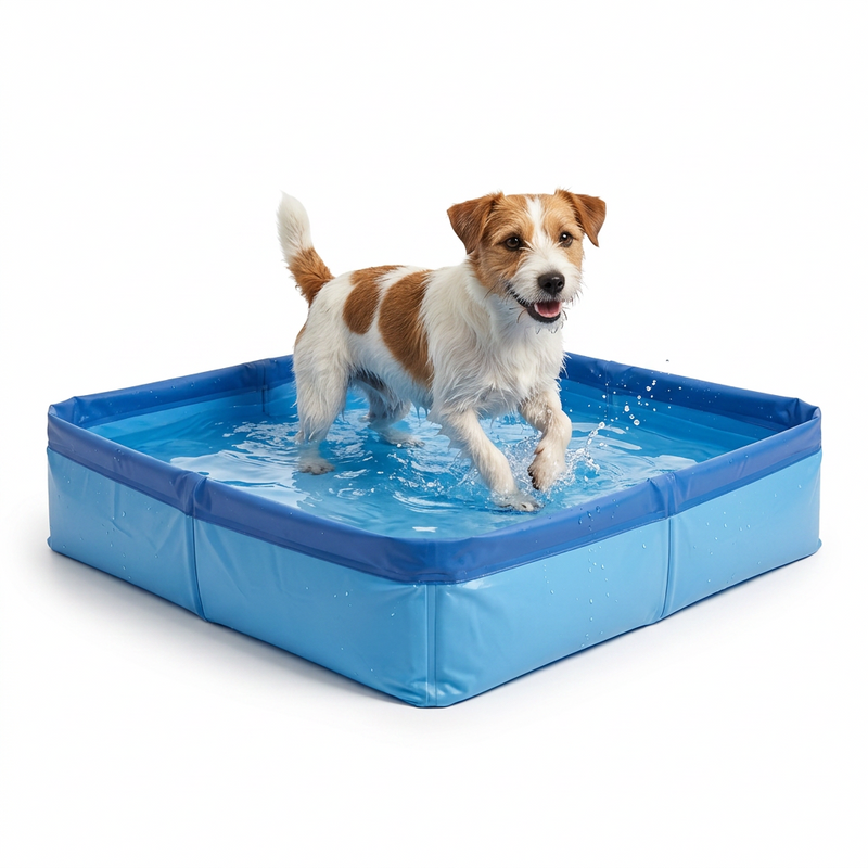 Square Folding Pet Paddling Pool with dog