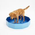 Collapsible Outdoor Foot Bath with dog