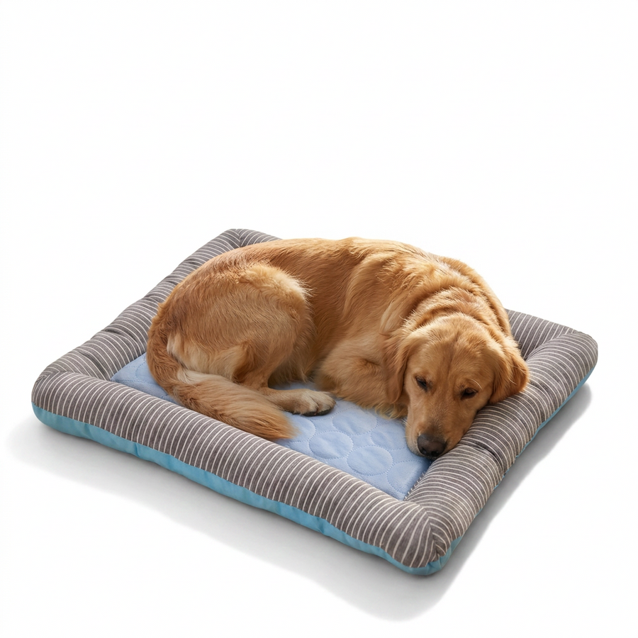 Summer Cooling Mat with Padded Border with dog
