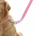 Long Line Dog Training Lead worn by dog