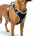 Adjustable No Pull Vest Harness worn by dog
