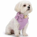 Harness Collar and Lead Set worn by dog