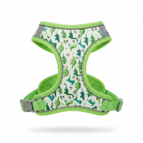 Small Dog Harness and Lead Set front view