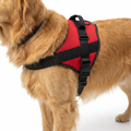Adjustable Chest Strap Vest Harness worn by dog