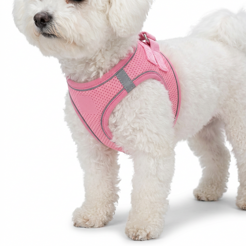 Reflective Vest Style Dog Harness worn by dog