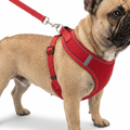 Adjustable Vest Harness with Matching Lead worn by dog