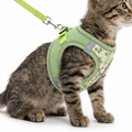 No Pull Pet Harness Set worn by kitten