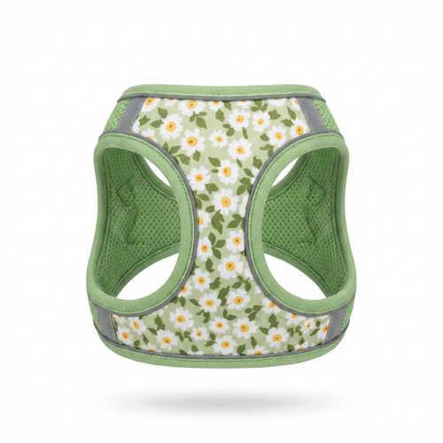 No Pull Pet Harness Set front view