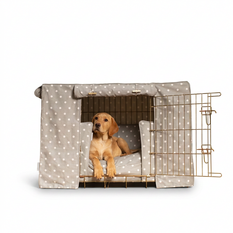 Dog Crate Set in Grey Spot with dog