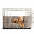 Dog Crate Bumper in Inchmurrin Ground with dog