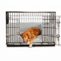 Dog Crate Bumper in Inchmurrin Iceberg with dog
