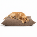 Dog Cushion in Inchmurrin Umber with dog