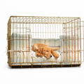 Dog Crate Bumper in Balmoral Duck Egg with dog