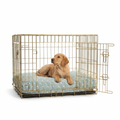 Dog Cushion in Duck Egg Spot with dog